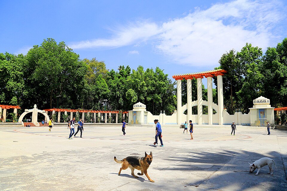 Un domingo perfecto en el Parque México (guía de vecino)
